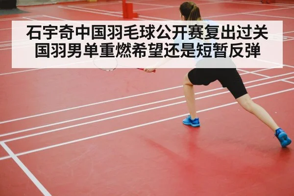 badminton court competition